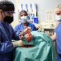 Pour la première fois, des chirurgiens américains ont greffé le cœur d’un porc sur un humain avec succès