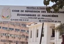 Un Appel à l’Action pour le Président Mamadi Doumbouya : Restaurer l’Intégrité d’un Système Judiciaire Corrompu