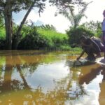 La-Riviere-purificatrice-Bodo-BAAB