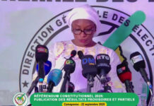 Référendum : Le « Oui » en tête dans plusieurs pays de la diaspora