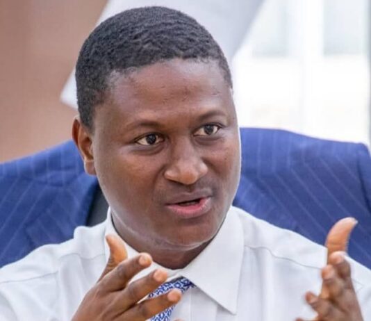 Décret : Namory Camara prend les commandes de la nouvelle Agence Guinéenne de Développement