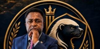 LA VISION MINIÈRE DU DR DAVID MAKONGO POUR LE CAMEROUN: De l’extraction de l’or à l’industrialisation nationale